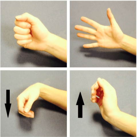 Person opening and closing their hand, then moving their wrist up and down.