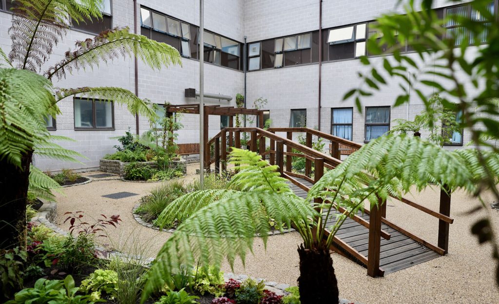 The critical care garden: showing trees and a bridge within